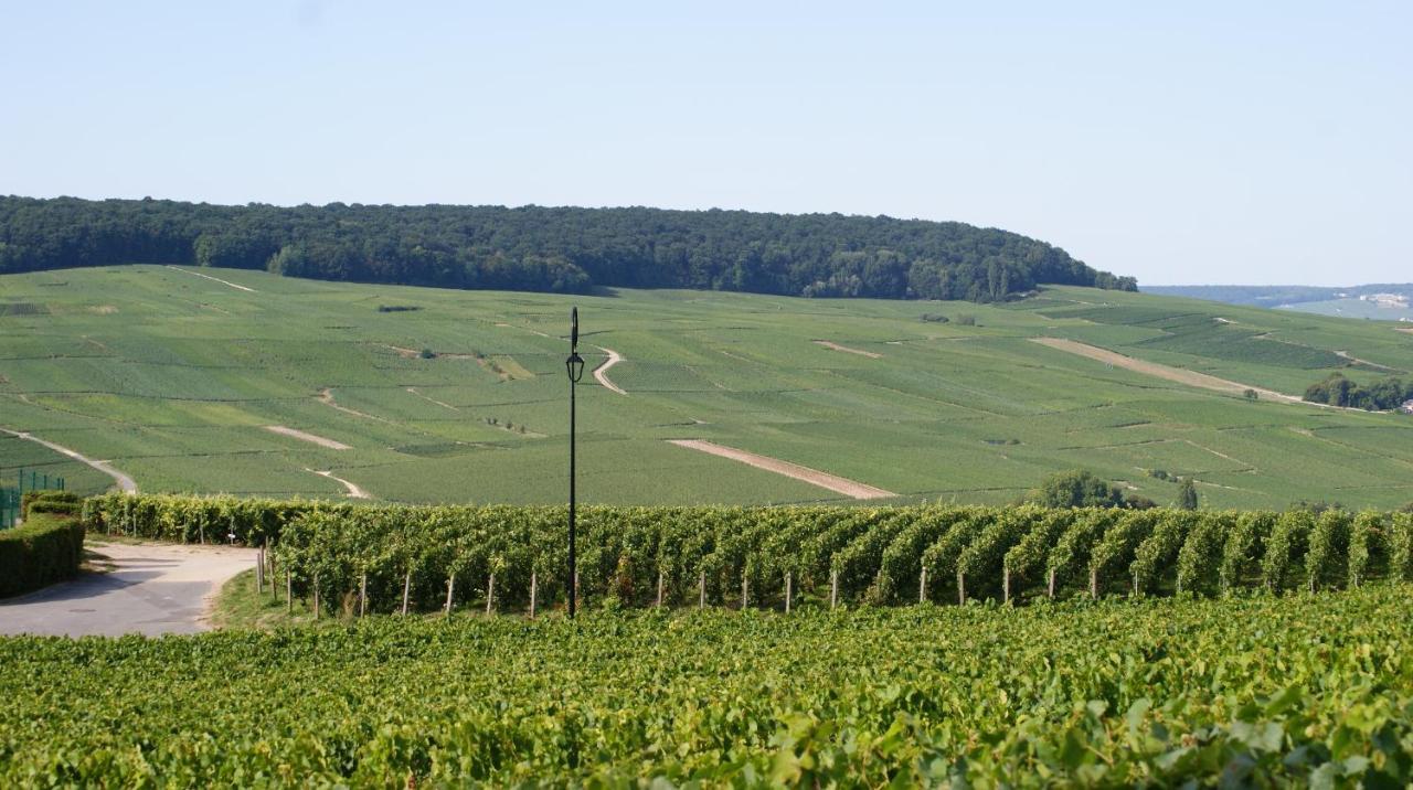 Les Dames-Jeannes Bed & Breakfast Chavot-Courcourt Eksteriør bilde